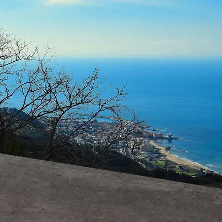 Le Agavi * 산 마우로 실렌토